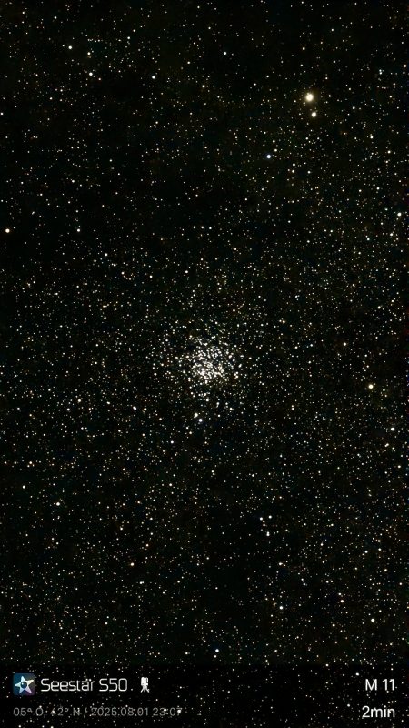 M 11